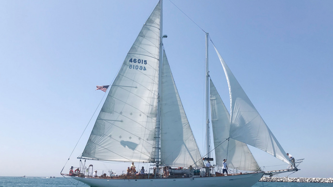 Jacht żaglowy, ilustracja do artykułu tłumaczącego skrótowiec S/Y