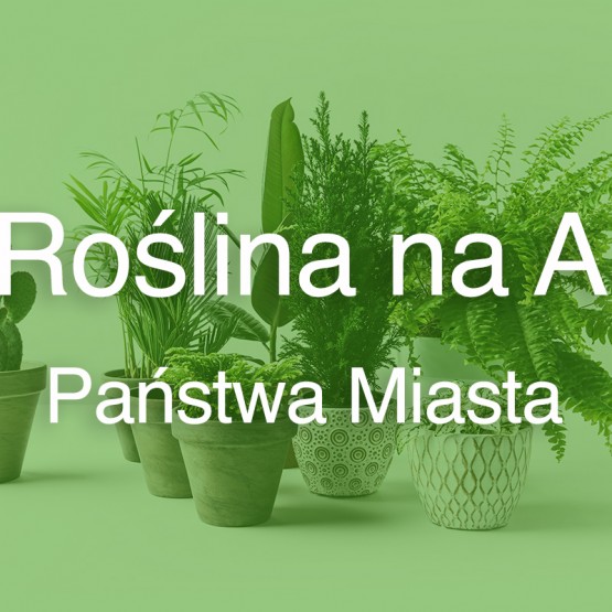 Roślina na A