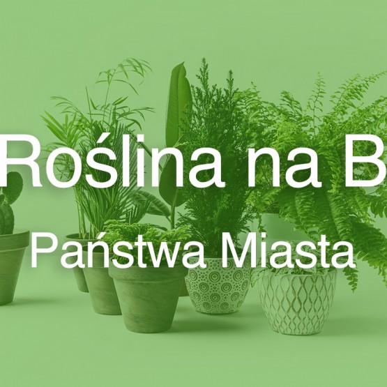 Roślina na B
