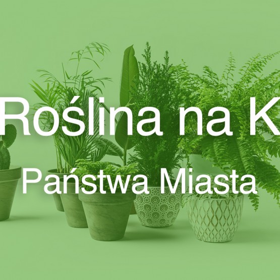Roślina na K