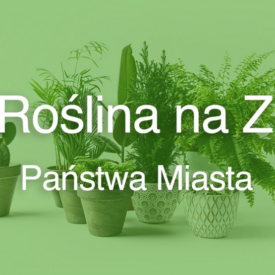 Roślina na Z