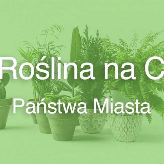 Roślina na C