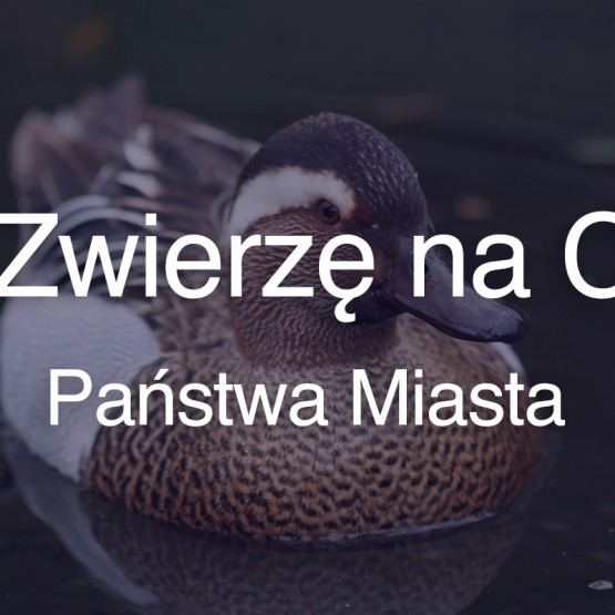 Zwierzę na c