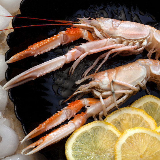 Scampi, ilustracja do artykułu